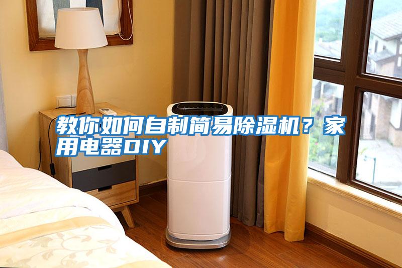 教你如何自制簡易除濕機(jī)?家用電器DIY