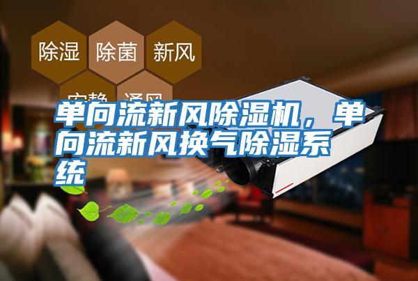 單向流新風除濕機,單向流新風換氣除濕系統(tǒng)