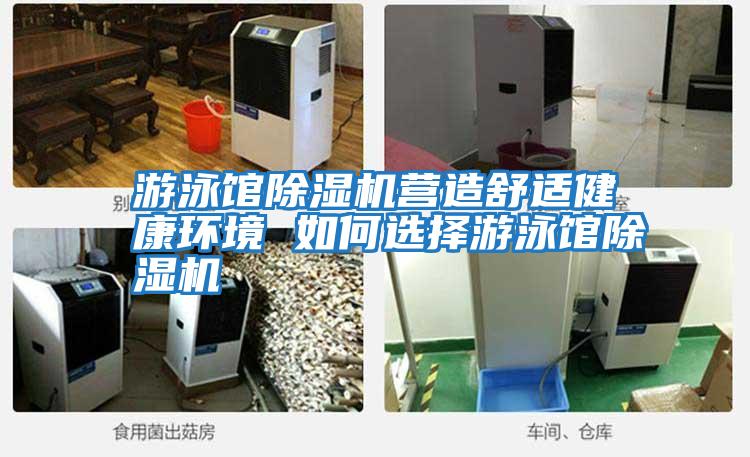 游泳館除濕機營造舒適健康環境 如何選擇游泳館除濕機