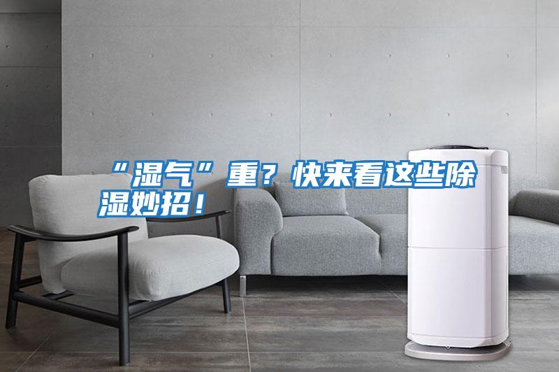 “濕氣”重？快來看這些除濕妙招！