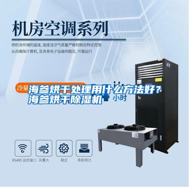 海參烘干處理用什么方法好？海參烘干除濕機(jī)