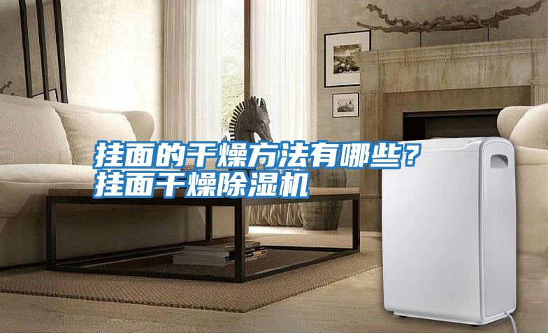 掛面的干燥方法有哪些? 掛面干燥除濕機(jī)