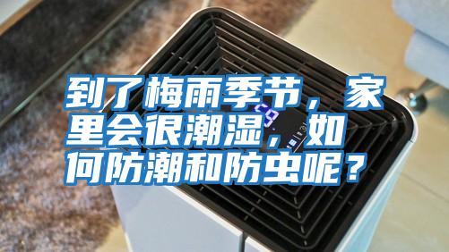 到了梅雨季節(jié)，家里會(huì)很潮濕，如何防潮和防蟲呢？