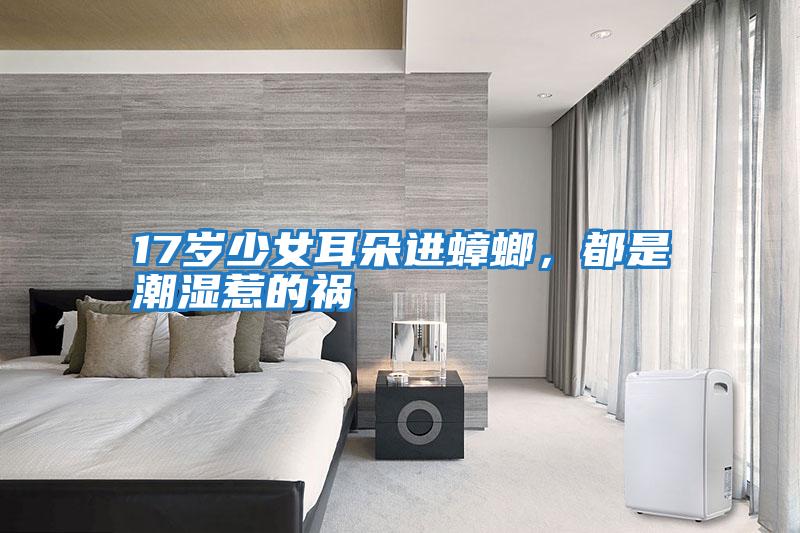 17歲少女耳朵進蟑螂，都是潮濕惹的禍