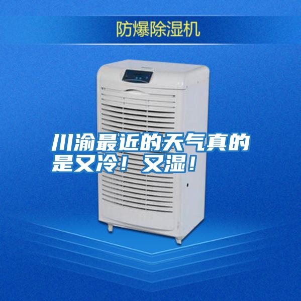 川渝最近的天氣真的是又冷！又濕！