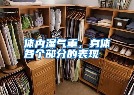 體內濕氣重，身體各個部分的表現