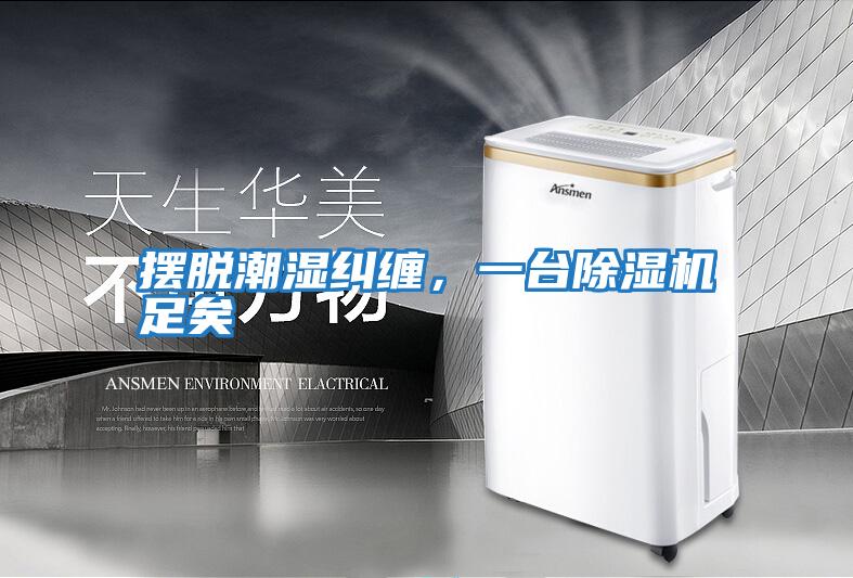 擺脫潮濕糾纏,一臺除濕機足矣