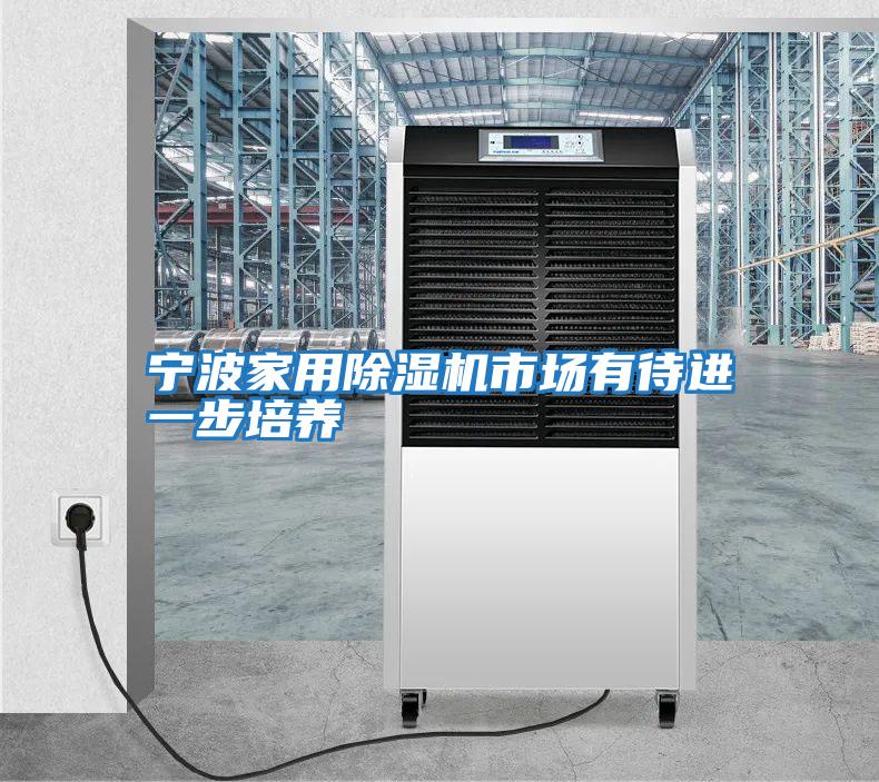 寧波家用除濕機市場有待進一步培養
