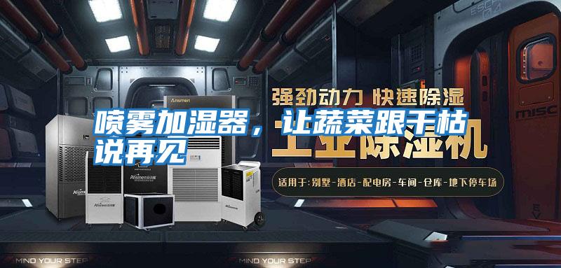 噴霧加濕器，讓蔬菜跟干枯說再見