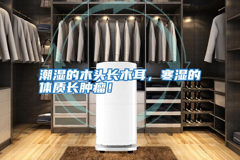 潮濕的木頭長(zhǎng)木耳,寒濕的體質(zhì)長(zhǎng)腫瘤!