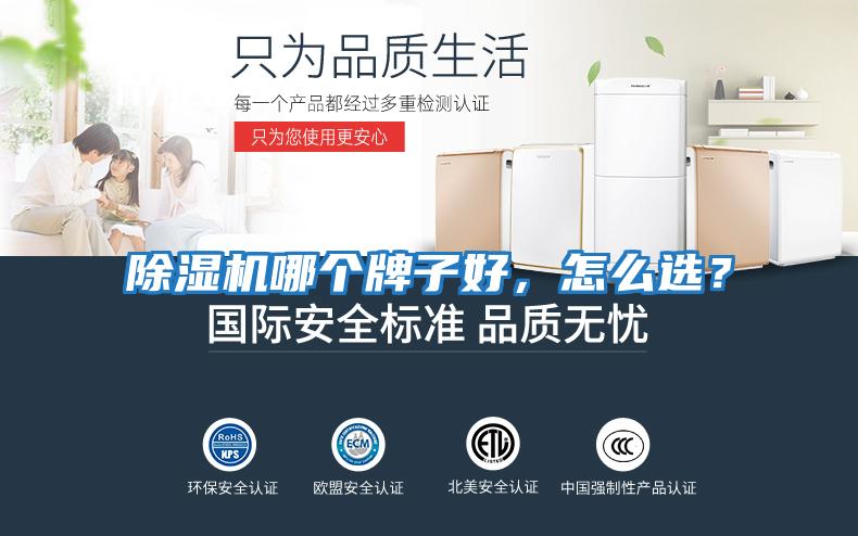 除濕機哪個牌子好,怎么選?