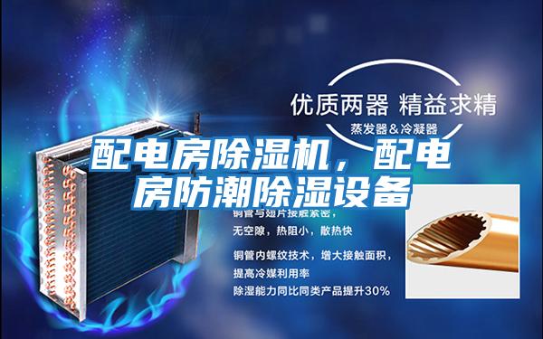 配電房除濕機,配電房防潮除濕設備