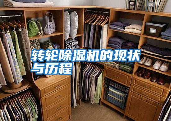 轉輪除濕機的現狀與歷程