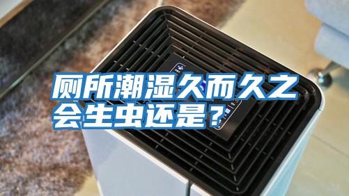 廁所潮濕久而久之會生蟲還是？