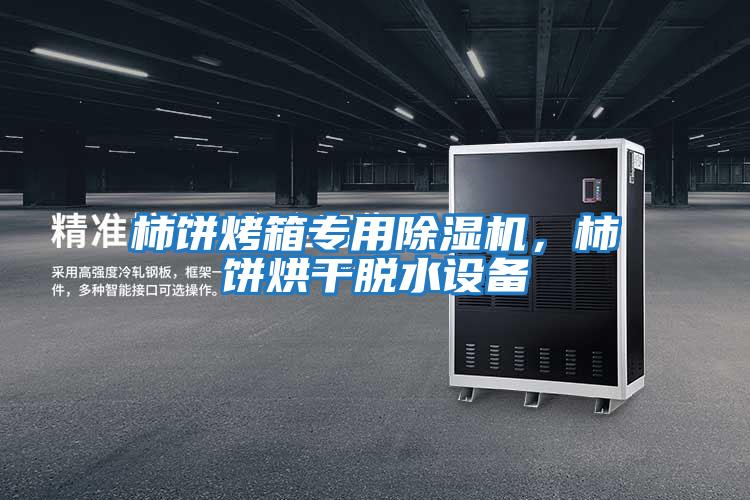 柿餅烤箱專用除濕機，柿餅烘干脫水設備
