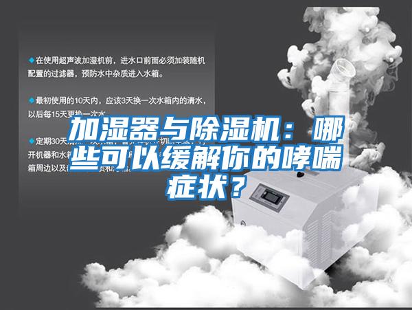 加濕器與除濕機：哪些可以緩解你的哮喘癥狀？