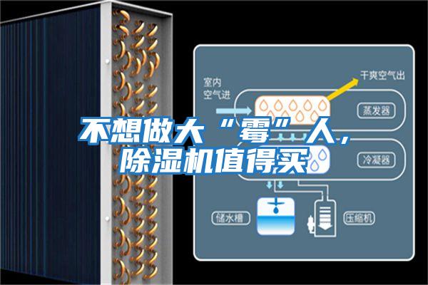 不想做大“霉”人，除濕機值得買