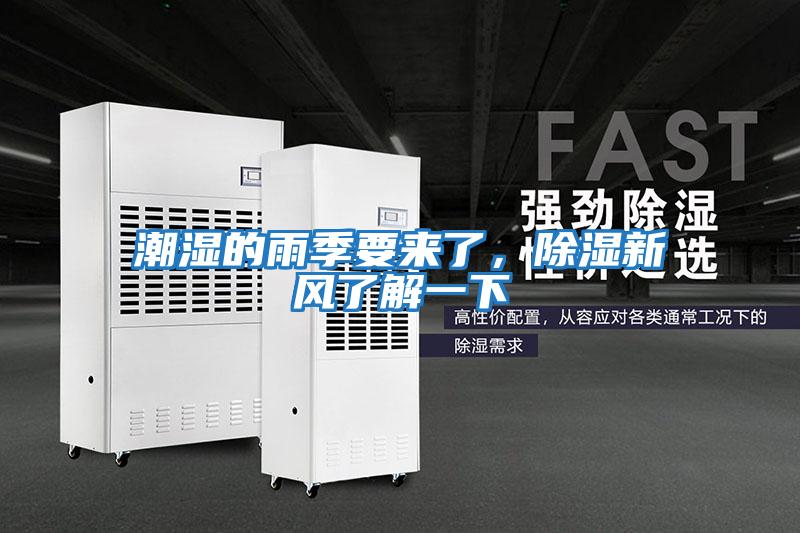 潮濕的雨季要來了，除濕新風了解一下