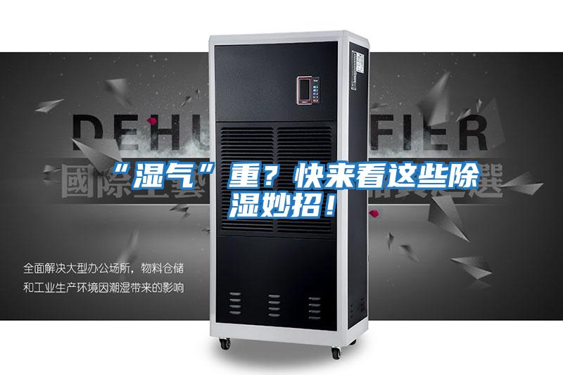 “濕氣”重？快來看這些除濕妙招！