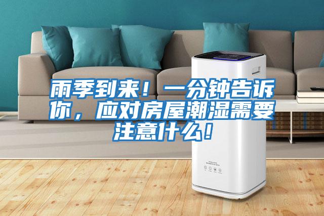 雨季到來！一分鐘告訴你，應對房屋潮濕需要注意什么！
