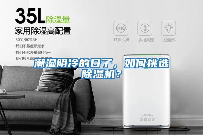 潮濕陰冷的日子，如何挑選除濕機？