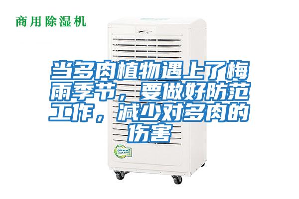 當(dāng)多肉植物遇上了梅雨季節(jié)，要做好防范工作，減少對多肉的傷害