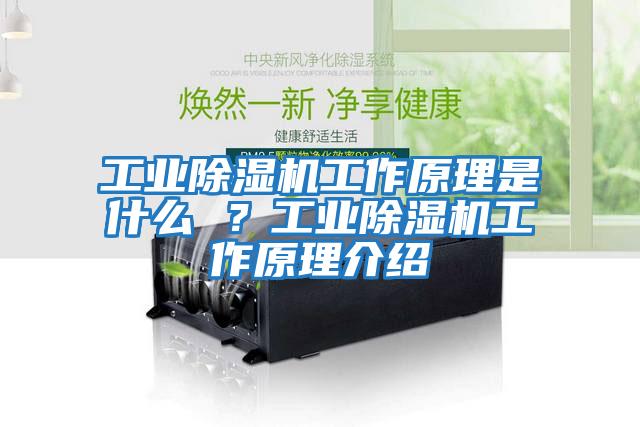 工業(yè)除濕機工作原理是什么 ?工業(yè)除濕機工作原理介紹