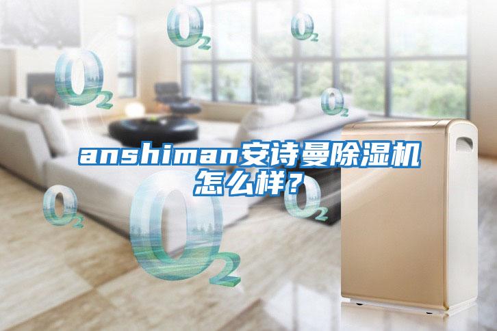 anshiman安詩曼除濕機怎么樣?
