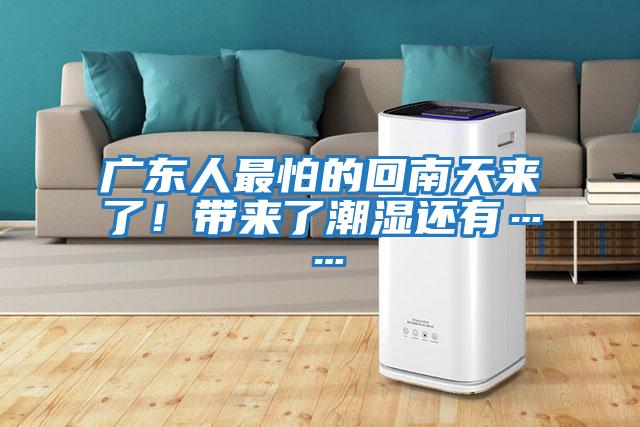 廣東人最怕的回南天來了！帶來了潮濕還有……
