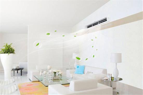 梅雨季，盡早除濕才不會傷及身體