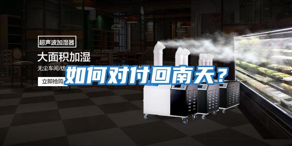 如何對付回南天？