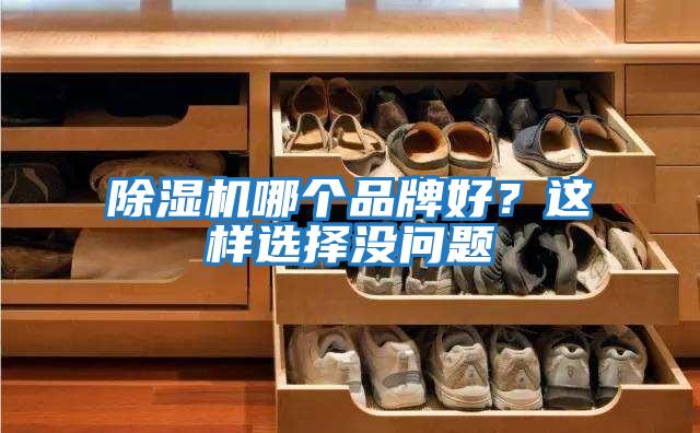 除濕機哪個品牌好？這樣選擇沒問題