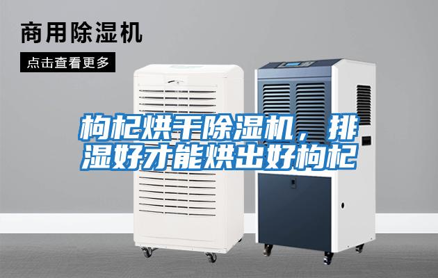 枸杞烘干除濕機，排濕好才能烘出好枸杞