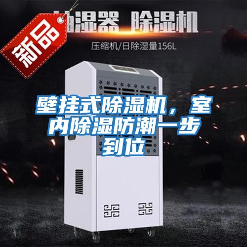 壁掛式除濕機(jī)，室內(nèi)除濕防潮一步到位