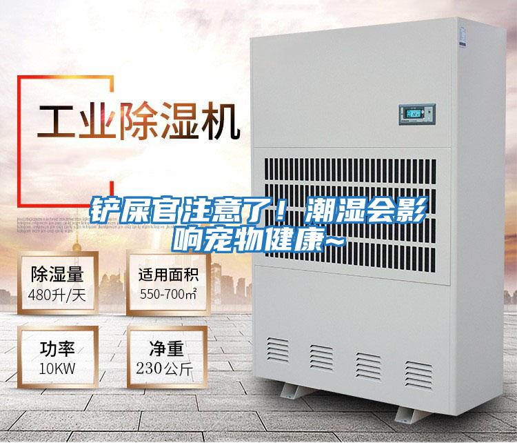 鏟屎官注意了！潮濕會(huì)影響寵物健康~