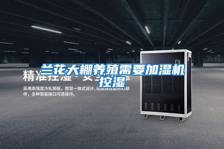 蘭花大棚養殖需要加濕機控濕