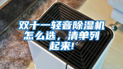 雙十一輕音除濕機怎么選，清單列起來!