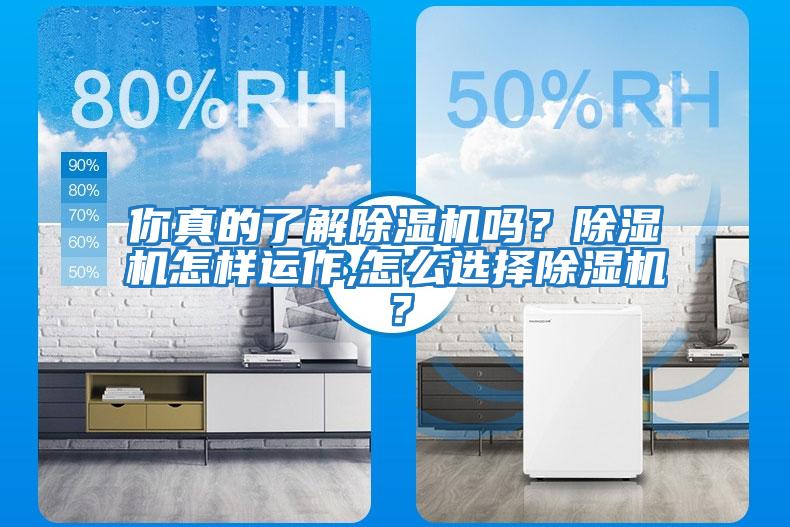 你真的了解除濕機(jī)嗎？除濕機(jī)怎樣運(yùn)作,怎么選擇除濕機(jī)？