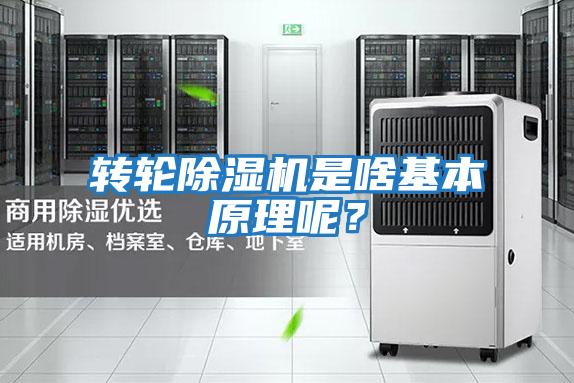 轉(zhuǎn)輪除濕機(jī)是啥基本原理呢?
