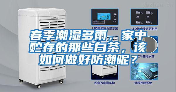 春季潮濕多雨，家中貯存的那些白茶，該如何做好防潮呢？