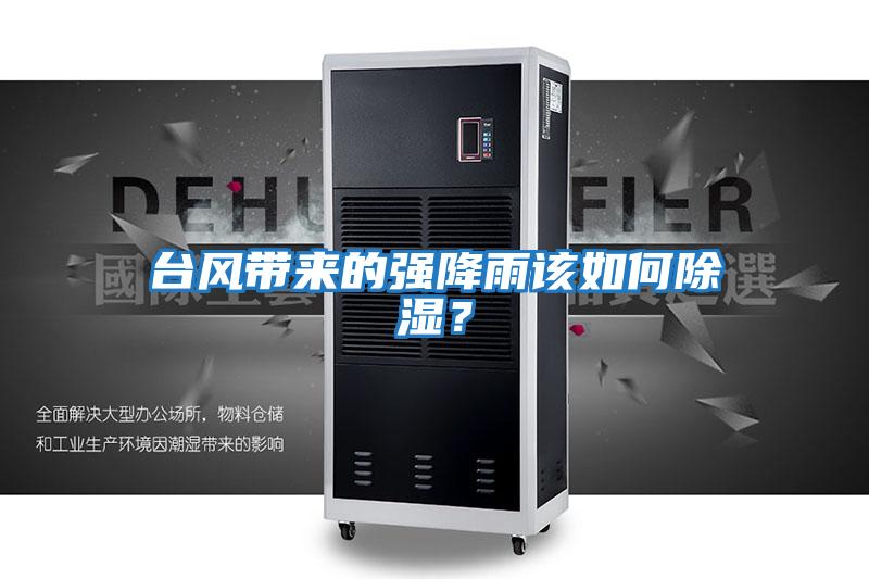 臺風帶來的強降雨該如何除濕?