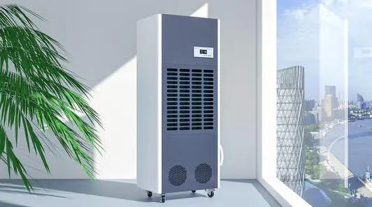 潮濕環境引發鼻炎,除濕機為你解除困擾