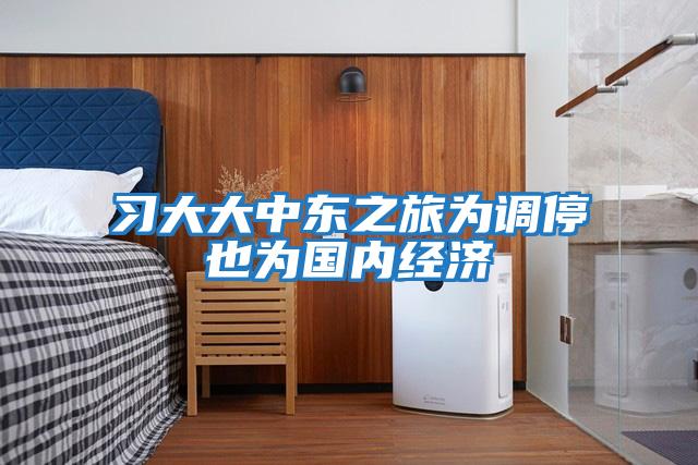 習大大中東之旅為調停也為國內經濟