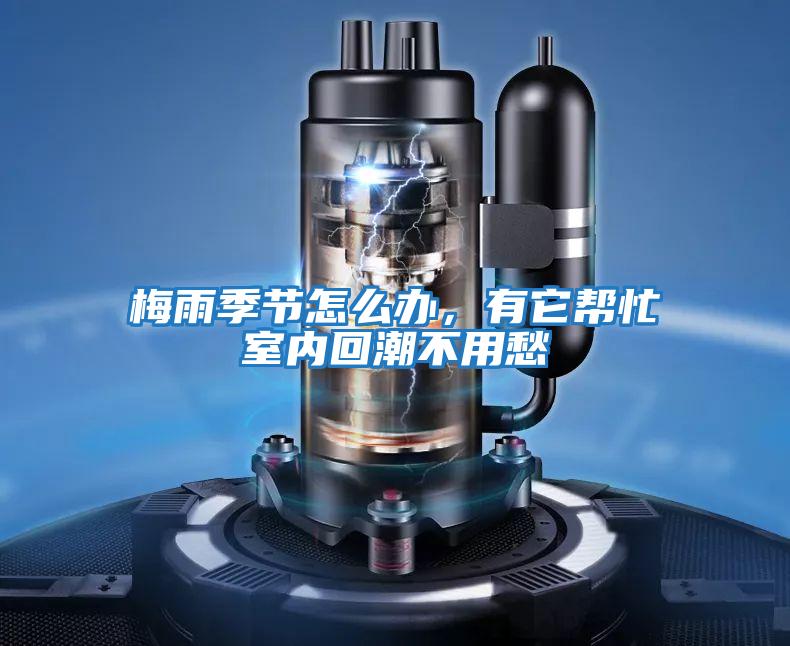 梅雨季節怎么辦，有它幫忙室內回潮不用愁