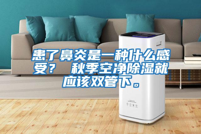 患了鼻炎是一種什么感受？ 秋季空凈除濕就應該雙管下。