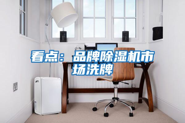 看點:品牌除濕機市場洗牌
