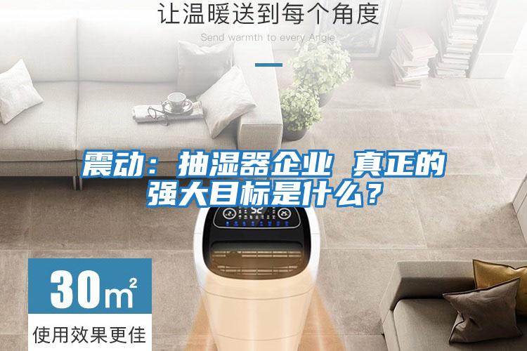 震動：抽濕器企業 真正的強大目標是什么？
