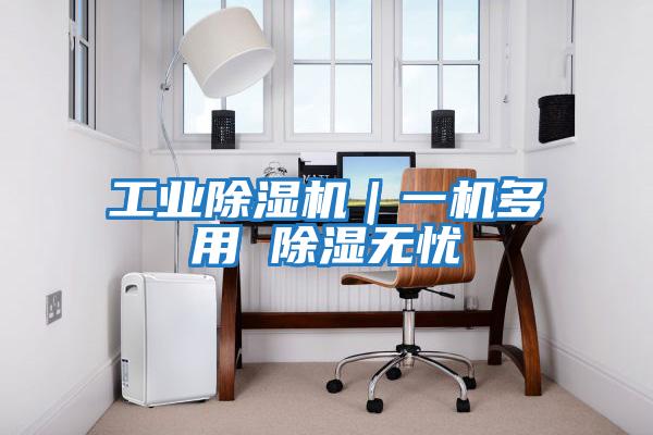 工業(yè)除濕機(jī)｜一機(jī)多用 除濕無憂
