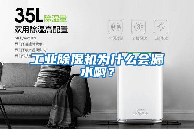 工業(yè)除濕機(jī)為什么會漏水??？