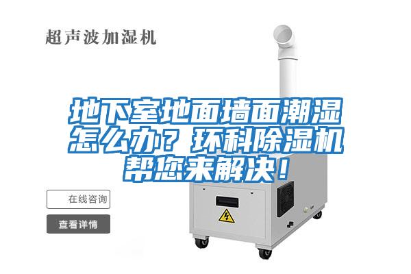 地下室地面墻面潮濕怎么辦？環科除濕機幫您來解決！